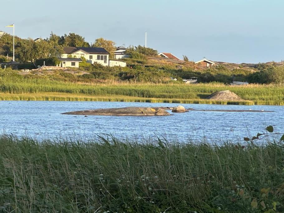 Backstugan - Litet Hus Med Storslaget Laege