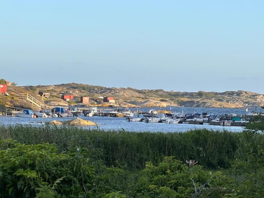 Backstugan - Litet Hus Med Storslaget Laege